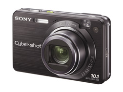 Sony Cyber-shot DSC-W170 product image